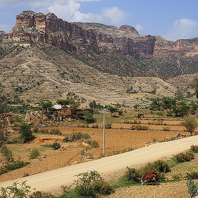 theme pic for article 10453