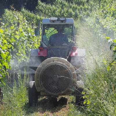 theme pic for article 10672