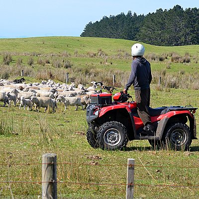 theme pic for article 11500
