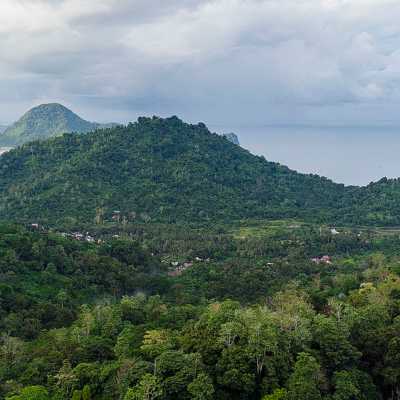 theme pic for article 9761