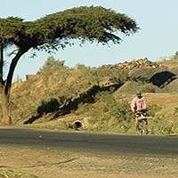 theme pic for article 9894