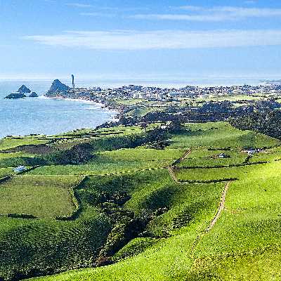 theme pic for article 9922