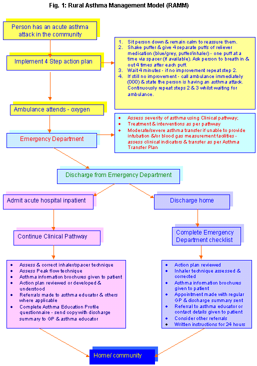 Asthma Management Flow Chart